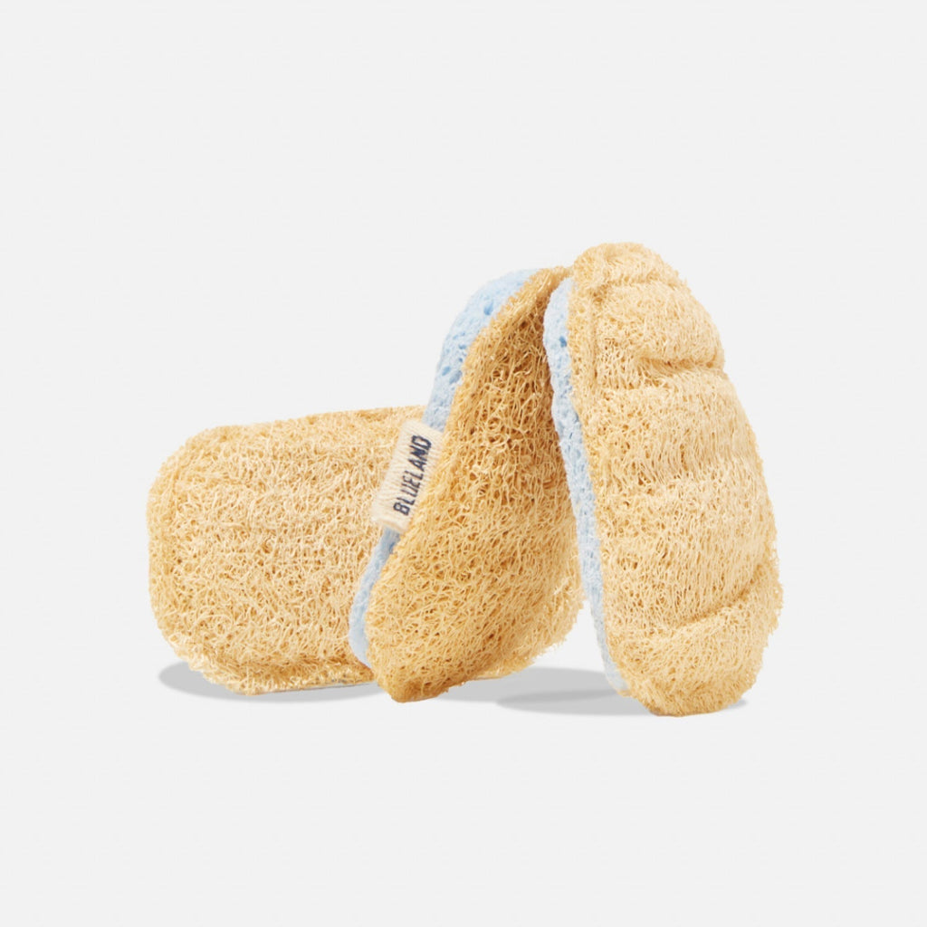 Scrub Sponge